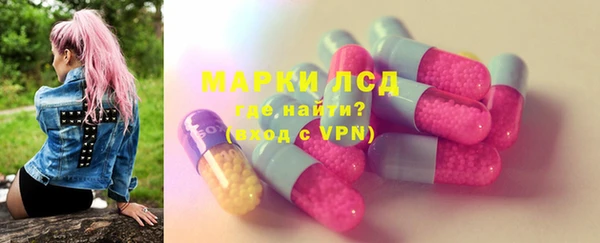 индика Волоколамск