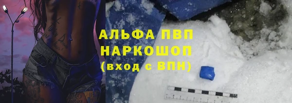 индика Волоколамск
