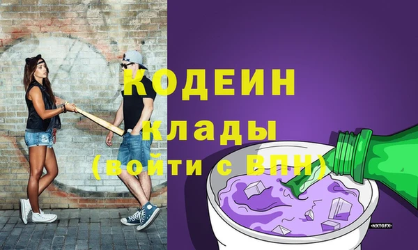 индика Волоколамск
