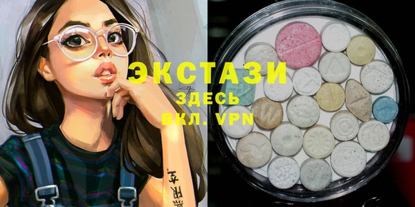 индика Волоколамск