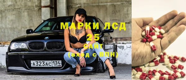 индика Волоколамск