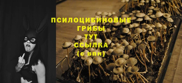 ALPHA PVP Володарск