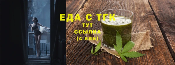 индика Волоколамск