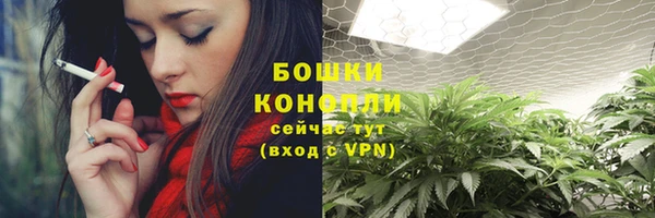 индика Волоколамск